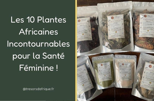 Les 10 Plantes Africaines Incontournables pour la Santé Féminine !