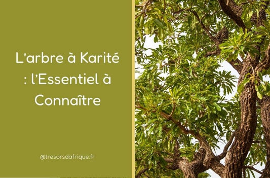 L’arbre à Karité : l’Essentiel à Connaître