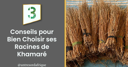 3 Conseils pour Bien Choisir ses Racines de Khamaré