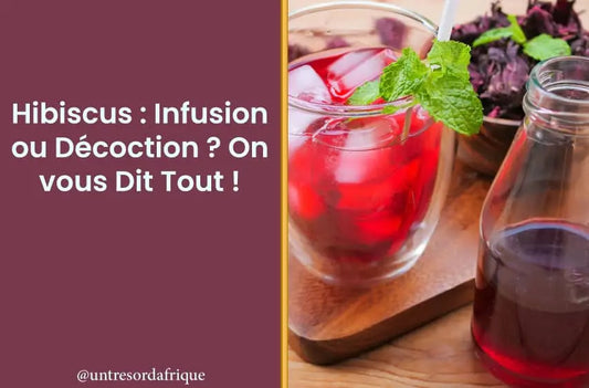 Hibiscus : Infusion ou Décoction ? On vous Dit Tout !