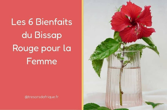 Les 6 Bienfaits du Bissap Rouge pour la Femme