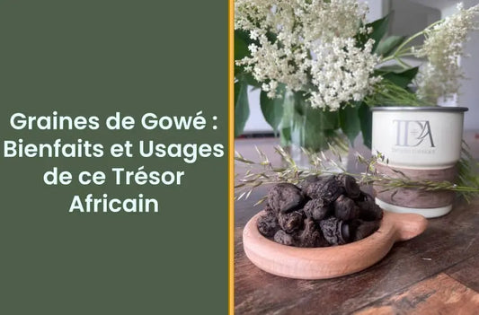 Graines de Gowé : Bienfaits et Usages de ce Trésor Africain