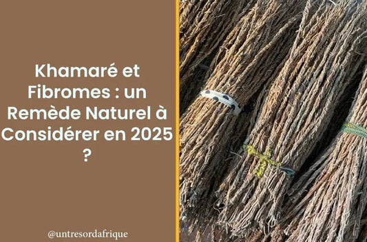 Khamaré et Fibromes : un Remède Naturel à Considérer en 2025 ?