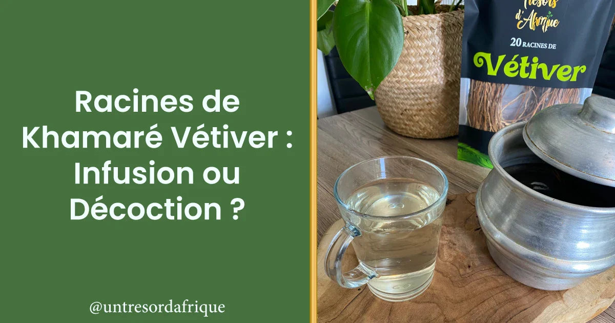 Racines de Khamaré Vétiver : Infusion ou Décoction ? – Trésors d'Afrique