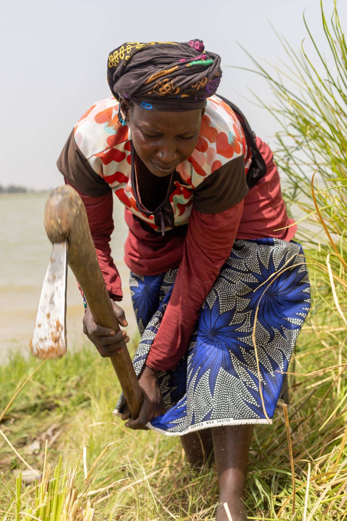 Récolte traditionnelle des racines de khamaré vétiver au Mali par une productrice locale