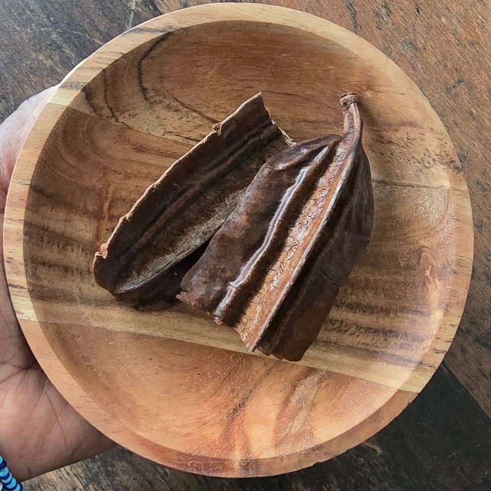 Fruit 4 côtés Tetrapleura tetraptera séché, utilisé pour la fertilité et la santé intime féminine