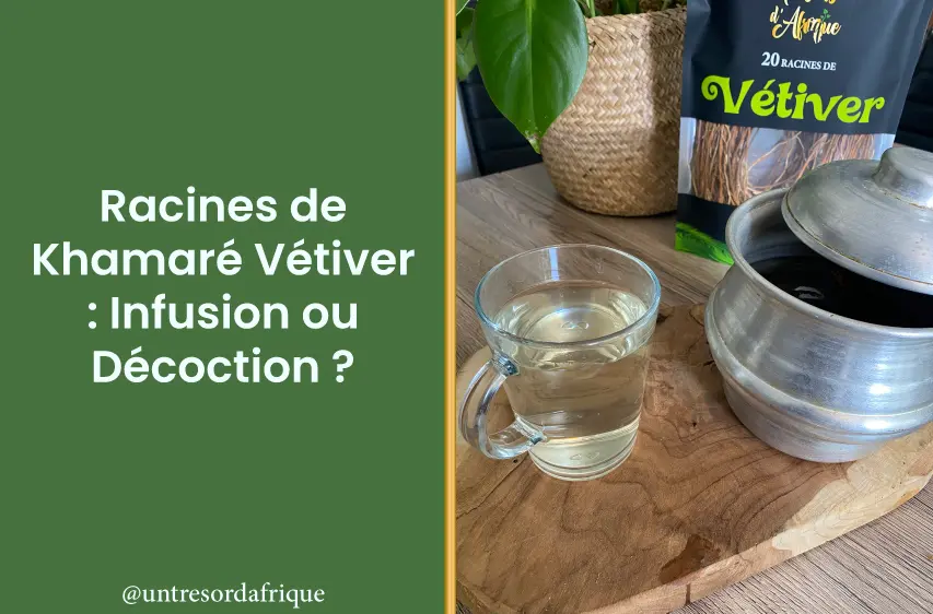 https://tresorsdafrique.fr/wp-content/uploads/2024/01/racines-khamare-vetiver-infusion-decoction.webp