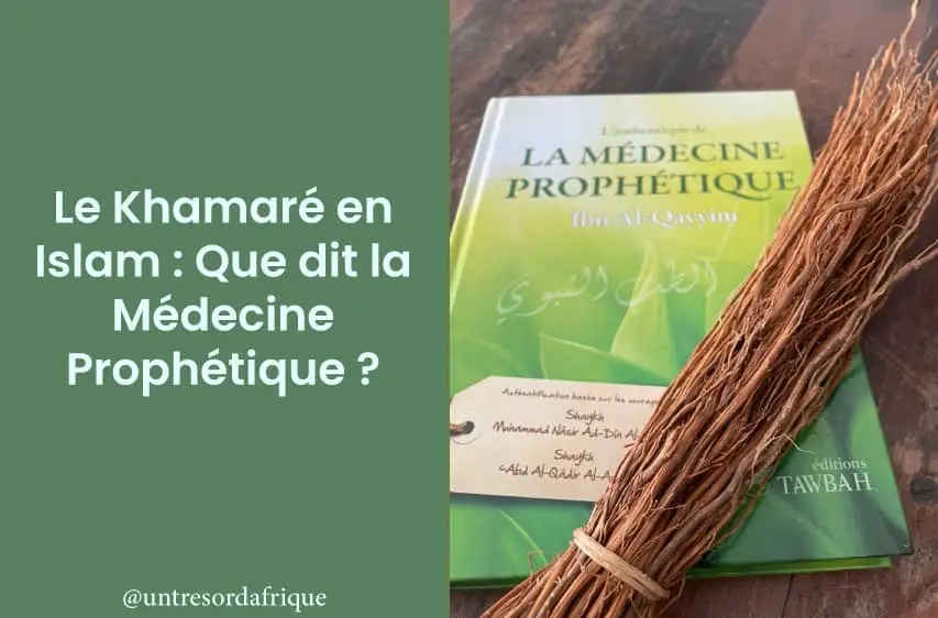 Couverture de l'article : Khamaré en Islam : Que dit la Médecine Prophétique ? Rédigé par Trésors d'Afrique