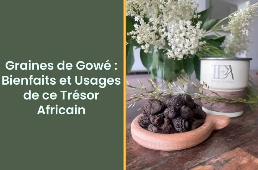 Couverture article : Graines de Gowé : Bienfaits et Usages de ce Trésor Africain. Rédigé par Trésors d'Afrique