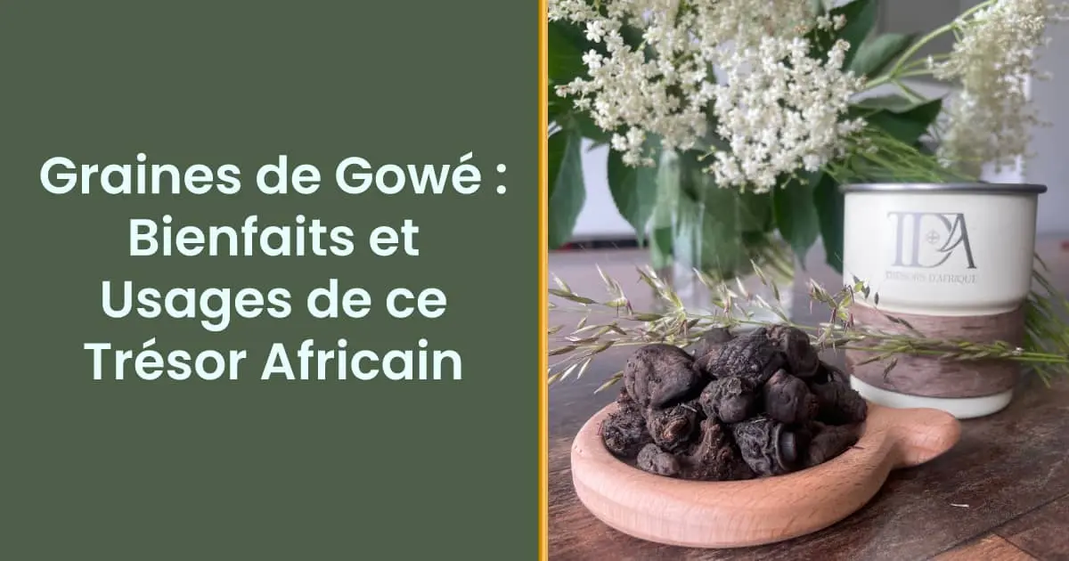 tubercules-gowe-tresors-dafrique Couverture article : Graines de Gowé : Bienfaits et Usages de ce Trésor Africain. Rédigé par Trésors d'Afrique